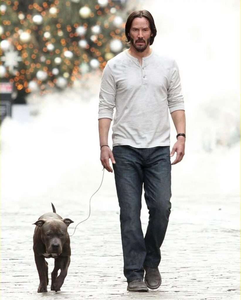 Keanu Reeves’ Workout Routine and Diet Plan - Health and Nutrition Online