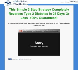 Type 2 Diabetes Strategy sl cb | Blue Heron Health News